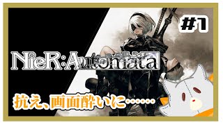【NieR:Automata】ぬいぐるみは画面酔いに争いたい…………※ネタバレ注意【ニーアオートマタ】