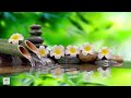 Relaxing Music 24/7, Stress Relief Music, Meditation, Spa, Sleep, Zen, Calming Music, Study, Yoga