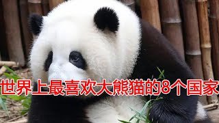 世界上最喜欢大熊猫的8个国家，前三名简直是把大熊猫供着养!第一名你肯定没想到！