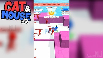 Cat and Mouse.io | Addictive Game