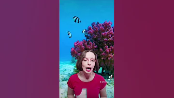 Отели в Хургаде с домашним рифом