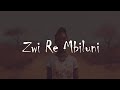 Ñevie Blue Zwi Re Mbiluni Ft Jex Beatz Official Visualizer Ñevie Blue Zwi Re Mbiluni Ft Jex Beatz Official Visualizer