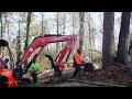 Dangerous tree cutting with Husqvarna & Kubota mini excavator