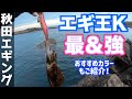 【秋田エギング】エギ王Kおすすめカラーご紹介！