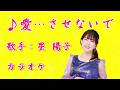 【新曲】愛...させないで /星 陽子 /カラオケ/2026年05月13日発売