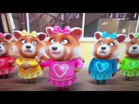Cute little Japanese singing Red Panda