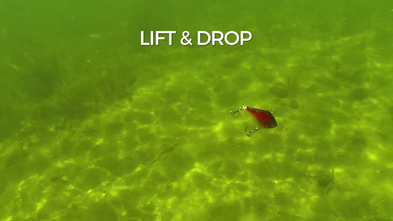 Swimming Action: Rippin Rap