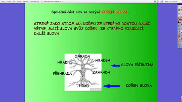 Co je kořen?