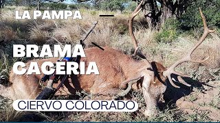 Brama y Cacería de Ciervo Colorado en La Pampa