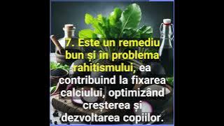 Ridichea neagră curăță ficatul! – Află ce beneficii are și cum se prepară siropul care face minuni