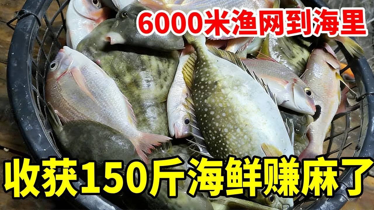 放六千米渔网到海里，收获一百多斤海鲜，还没靠岸就被朋友预定了