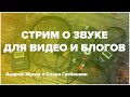 Звук для видео и блогов - стрим. Слава Гребенкин и Андрей Жуков