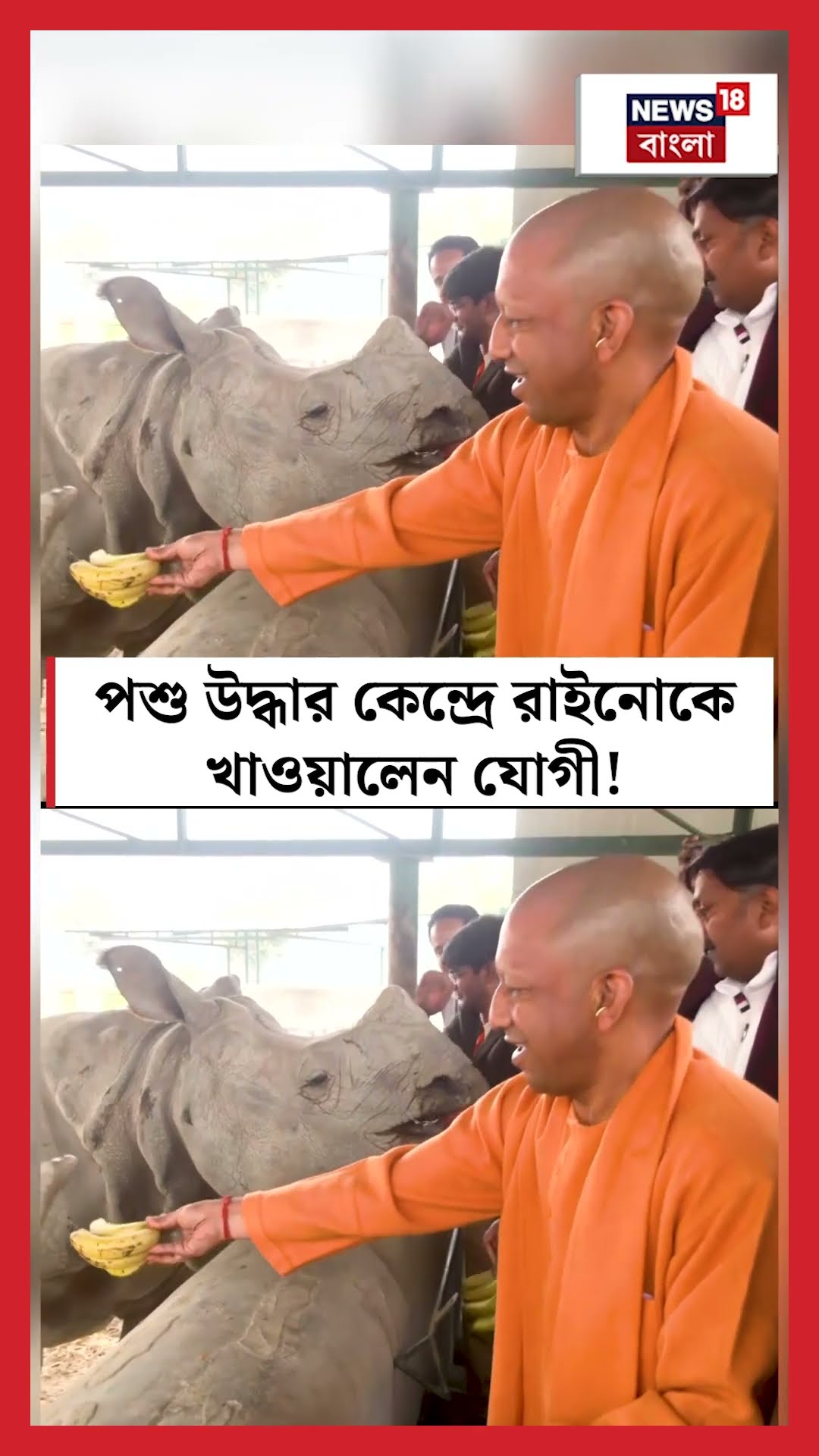 পশু উদ্ধার কেন্দ্রে  Rhino কে খাওয়ালেন CM Yogi Adityanath!  | N18S #shorts