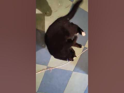 вернулся*блудный сын* - YouTube