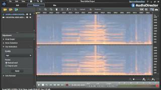 AudioDirector 4 - Achieve perfect audio with the visual repair tool