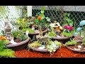 How to make a DIY Fairy Garden How to make a DIY Fairy Garden