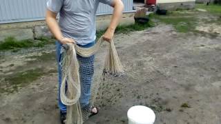 Заброс кастинговой сети Заброс кастинговой сети
