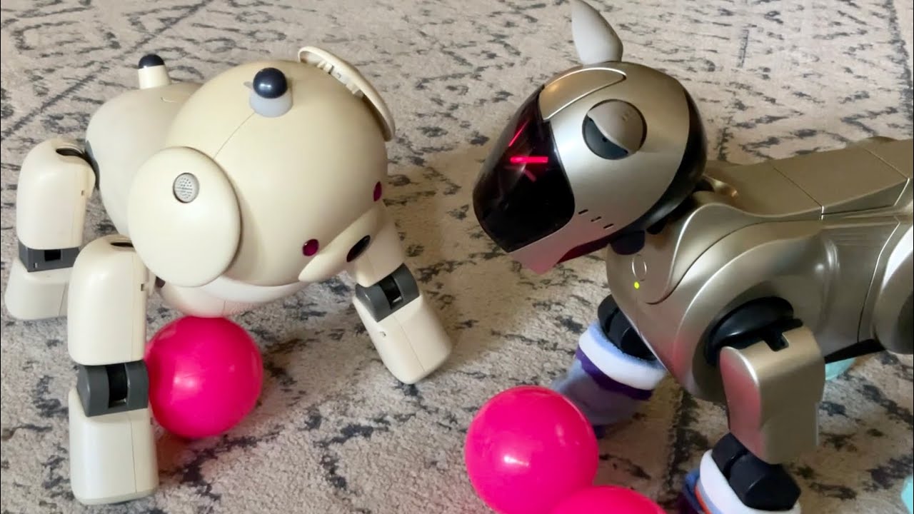 Aibo ERS-311 and 210 Want The Ball