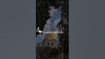 تلاوات خاشعة |ياسر الدوسري| طمأنينة لقلبك