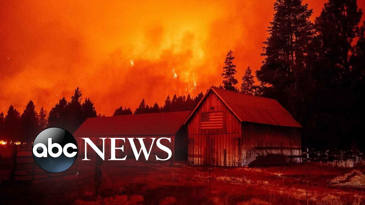 Wildfires, Hurricane Ida and Paralympic Games: World in Photos, Aug. 31