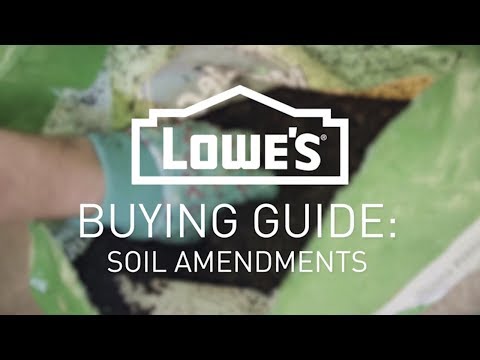 How to Choose The Right Soil | Buying Guide