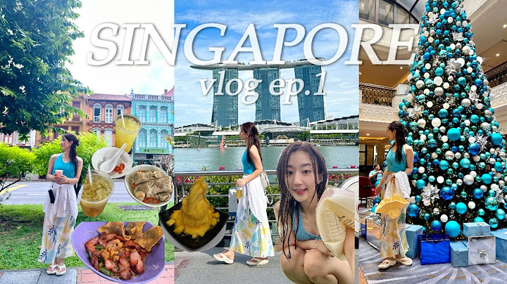 싱가포르 vlog🇸🇬 ep.1  J도 따라하는 대문자P여행 ٩( ᐛ )و 맛잘알이 말아주는 싱가포르 맛집코스 총정리 | 면세쇼핑,송파바쿠테, 미쉐린 지지누들, 망고빙수, 비첸향
