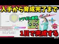 【入手から】レアポケ大量の裏技！この動画を見ればランク戦で使える育成済みドラパルトができます！【ポケモン剣盾/ポケモンソードシールド】