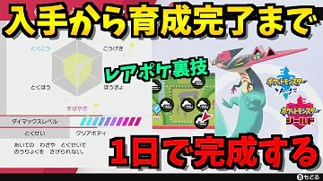 ドラパ 育成論 ドラパ 育成論