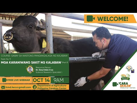 Cara-Aralan Webinar Series: "Mga Karaniwang Sakit Ng Kalabaw (Part II)"