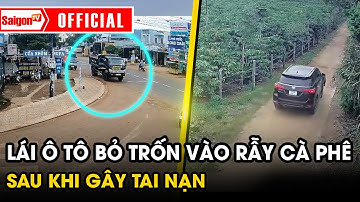 T-ông xe gây tai nạn, tài xế lái ô tô bỏ trốn vào rẫy cà phê tại Gia Lai đã bị bắt | SaigonTV
