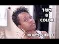 Tapered Cut : Reshape and COLOR || I GOT RID OF THE GREY 🙌🏾 #NaturalTaperedCut