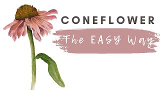 Coneflower Tutorial for Beginners