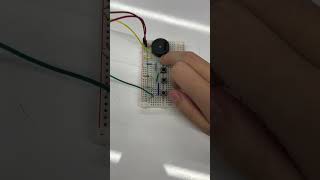Arduino Musical Instrument - Leilani & Candy