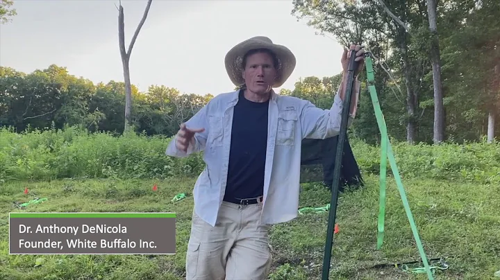 The Origin of the Pig Brig Trap System | Pig Brig Trap System