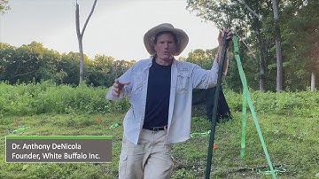 The Origin of the Pig Brig Trap System | Pig Brig Trap System