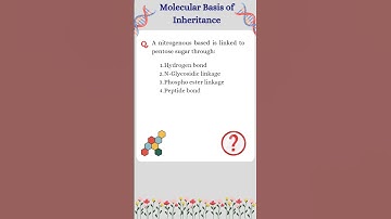 Molecular Basis of InheritanceNEET2024 MCQ #neet2024#neetmotivation #trending#short#shorts#mbbs