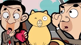 SMELLY cat | (Mr Bean Cartoon) | Mr Bean Full Episodes | Mr Bean Official