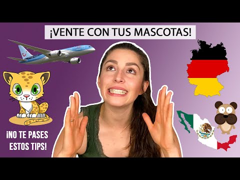 Video: Consejos para viajar con mascotas a Alemania