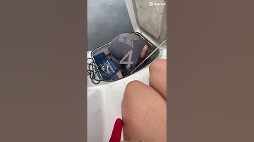 It was a beautiful sail, until it wasn