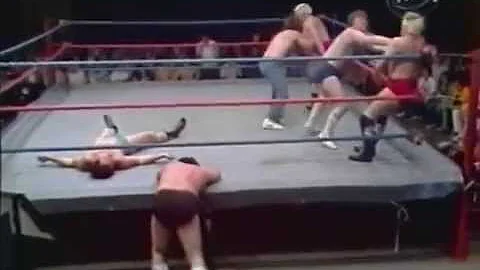 Pat Patterson & Ray Stevens vs Billy Robinson & Fr...
