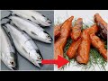 Turning kokanee salmon into fish candy catch  cook