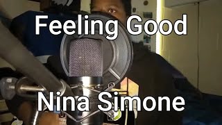 Video thumbnail of "Nina Simone - Feeling Good (Acoustic Guitar Cover)"