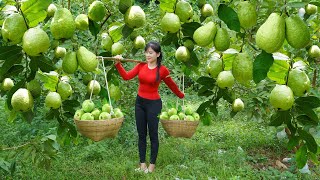 Download Lagu Harvesting Many Guava Fruit Go To Village Sell For Villager - Pig Farming, Lots of Chickens MP3 Download Lagu Harvesting Many Guava Fruit Go To Village Sell For Villager - Pig Farming, Lots of Chickens MP3
