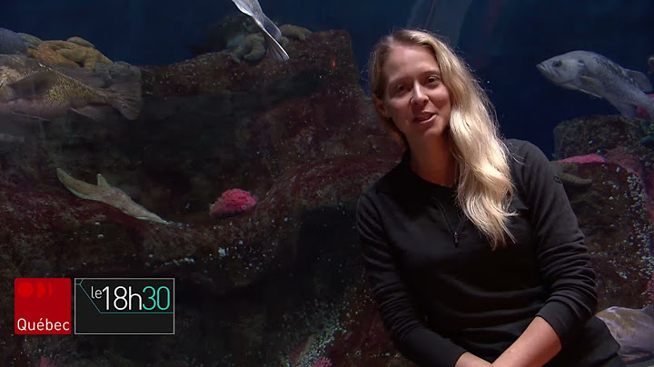 Plongée dans l’Aquarium de Québec