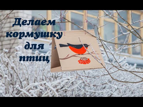 Кормушка для птиц из картонной коробки своими руками
