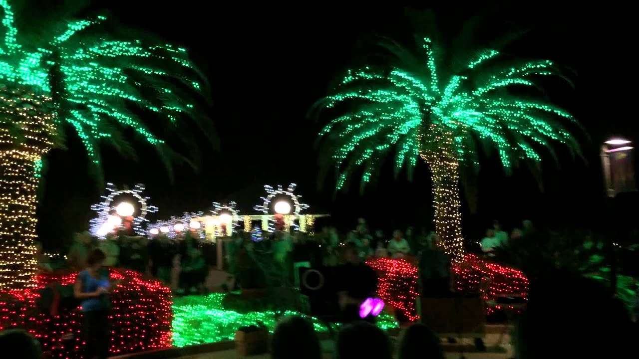 Dan Brown juggling at Holiday Lights at Florida Botanical Gardens - YouTube