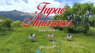 TUPAC AMARINOS ► UNA ROSITA | Primicia2019► XPRESARTE