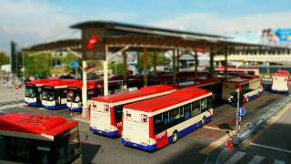 Rapid Penang Bus | HTT 313 - Tourism Transportation