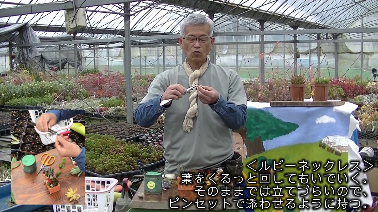 ルビーネックレスの植え替え方 Youtube ルビーネックレスの植え替え方 Youtube