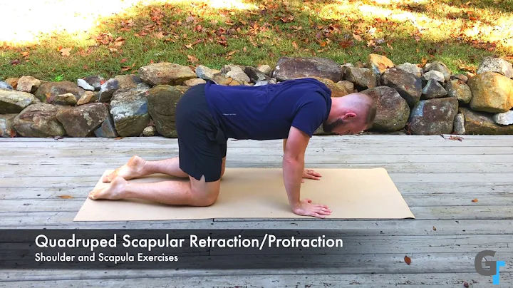 Quadruped Scapular Retraction and Protraction - Exercise Demonstration